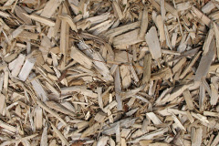biomass boilers Bracon Ash