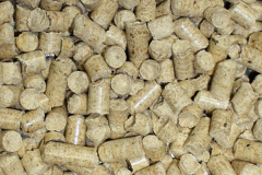 Bracon Ash biomass boiler costs
